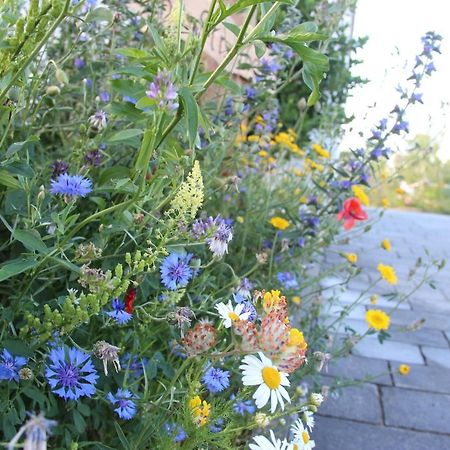 Ferienwohnungen "Blumenwiese" ディリンゲン・アン・デア・ドナウ エクステリア 写真