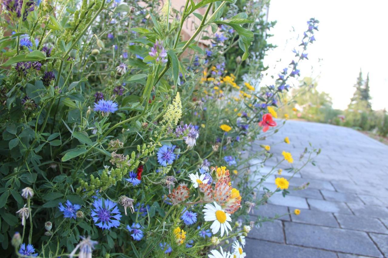 Ferienwohnungen "Blumenwiese" ディリンゲン・アン・デア・ドナウ エクステリア 写真