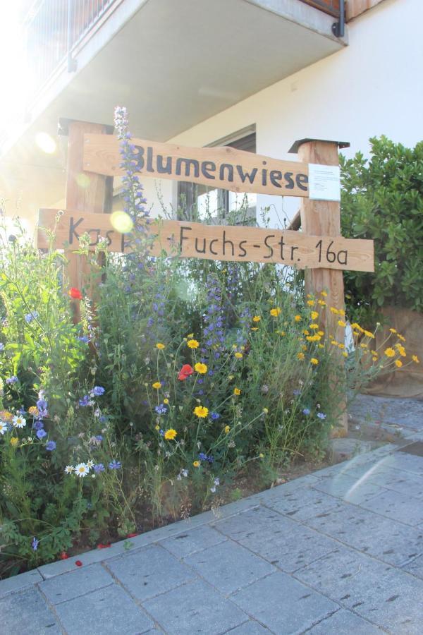 Ferienwohnungen "Blumenwiese" ディリンゲン・アン・デア・ドナウ エクステリア 写真
